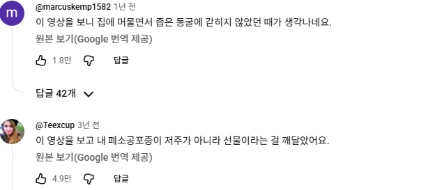 서양에서 진짜 개병신같다고 욕먹었던 취미 (11)