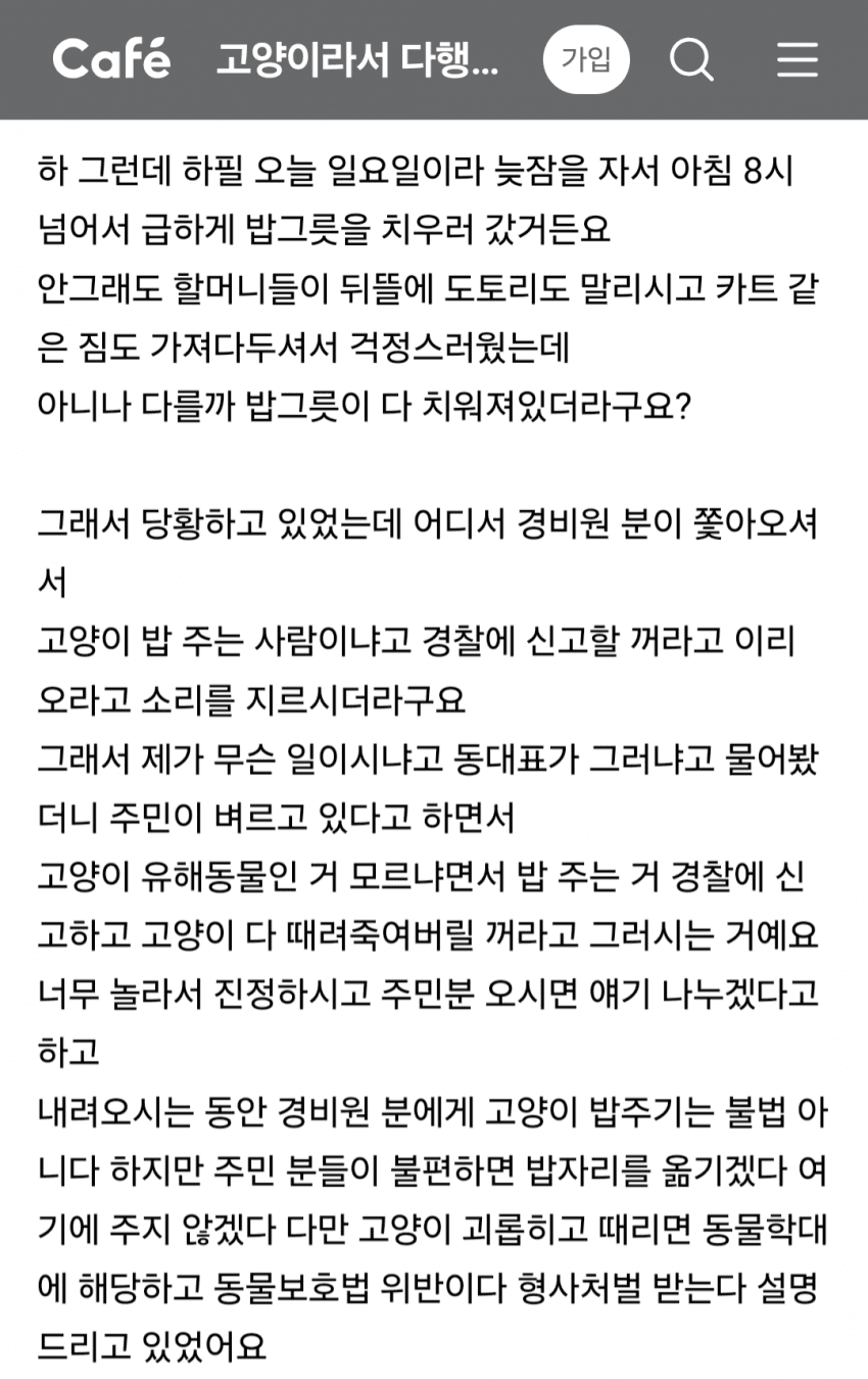 아파트에서 싸운 캣맘 (2)