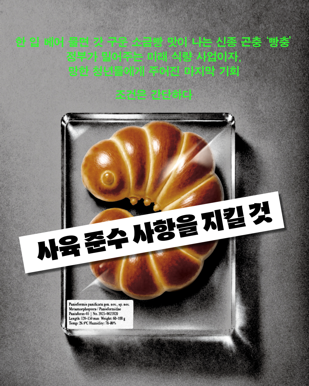 최근 도서덬들한테 진짜 난리난리난리난리개난리나서 도서관에서 빌리기 개어렵다는 책.. (2)