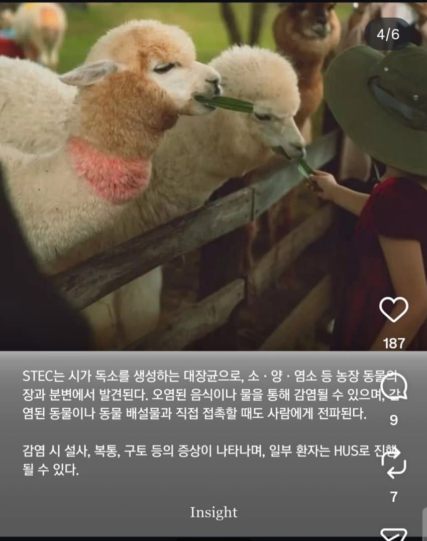 동물 만졌을 뿐인데... 어린이 2명 뇌 손상, 신부전 '위중' (4)
