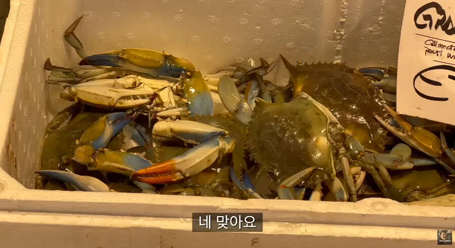 이탈리아에서 청게(블루크랩) 가격 (11)