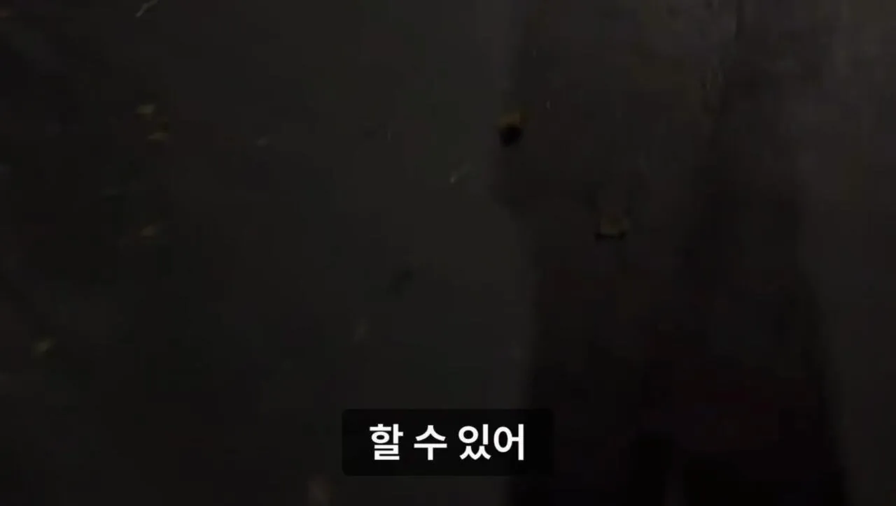 군대 안 가본 여자의 20kg 20km 행군 도전