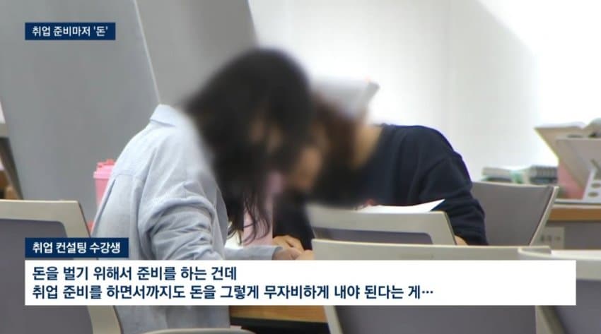 현직자 1대1 코칭, 800만원…취업마저 '사교육' 현실 (11)