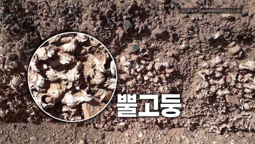 싱글벙글 고대시대 황제만 입을 수 있었던 보라색 (14)