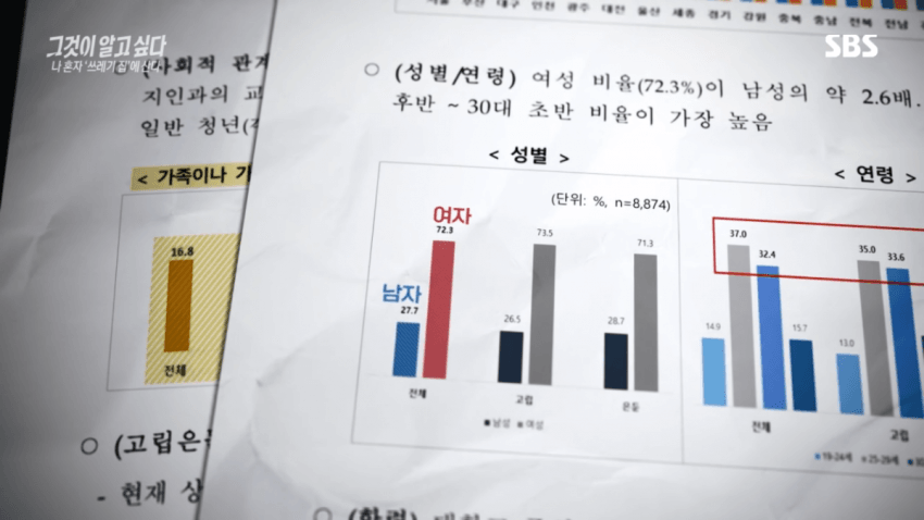 싱글벙글 요즘 2,30대 사이 진짜 심각한 사회문제라는 현상 (31)
