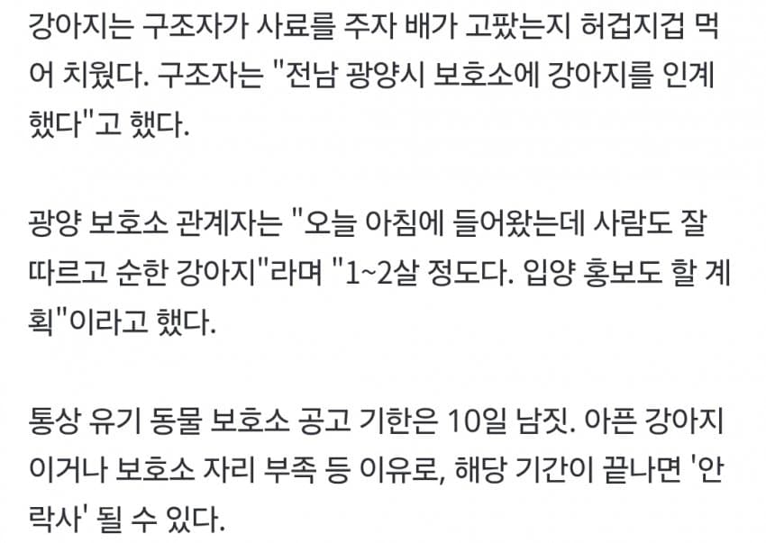 버스정류장에 묶여 버려진 개…"4일 넘었다" 목격담 (4)