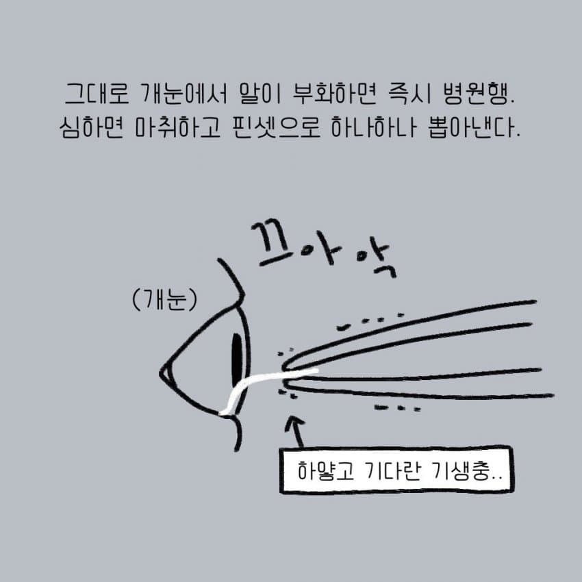 싱글벙글 강아지를 키우기 전 했던 생각.manhwa (7)