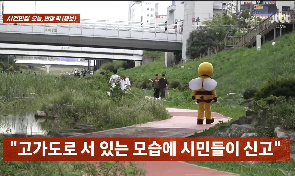 사건반장에 나온 꿀벌 복장 입는 이유 (13)