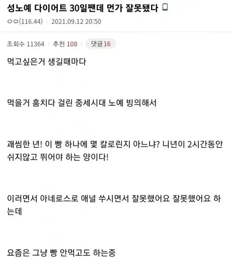 성노예(?) 다이어트