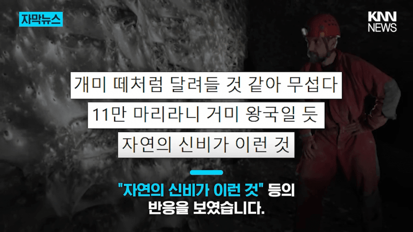 경악 세상에서 제일 큰 거미줄 발견 (13)