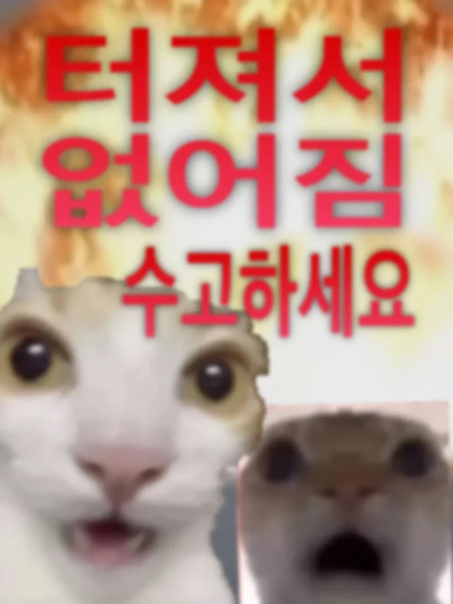 배그) "미안하다" 한마디를 못해서 벌어진 일