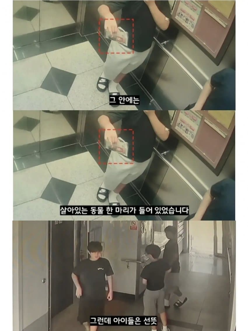 싱글벙글 2만원을 모아 동물병원 방문한 초등학생들 (4)