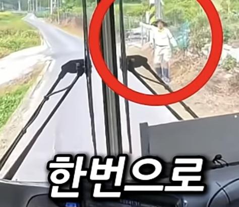 시골 카르텔 (16)