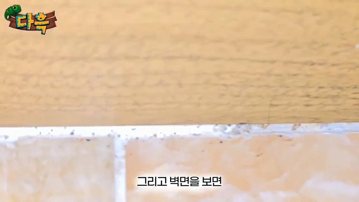 부산 찜질방 빈대 이슈 업로드한 유튜버 다흑... (14)