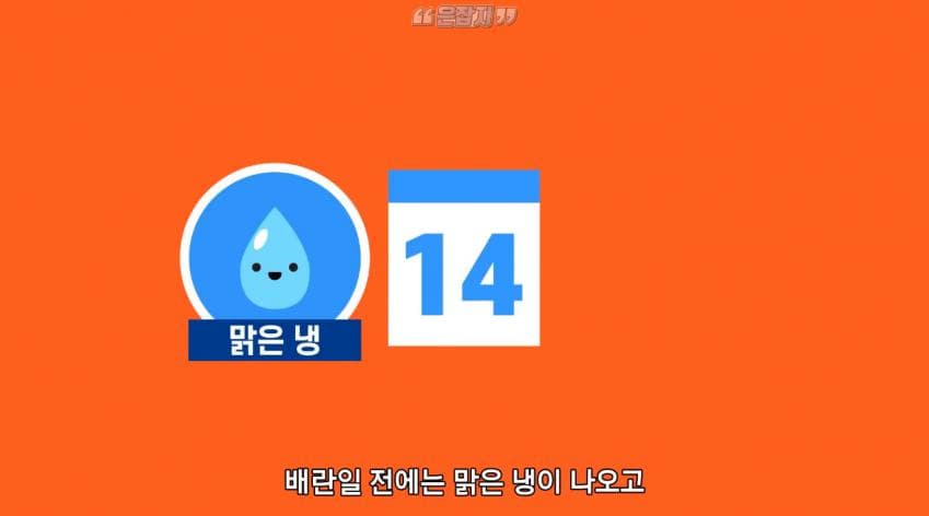 남자들은 잘 모르는 냉 이라는 것에 대하여 (33)