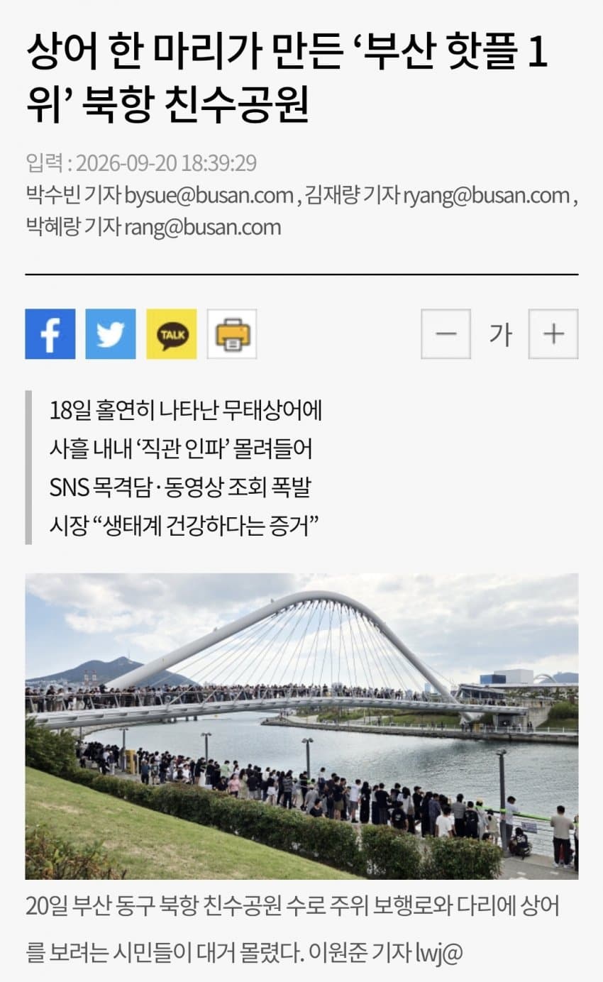 아재신 상어한테 생닭 던졌다 해경한테 잡혀갔다네요 (2)