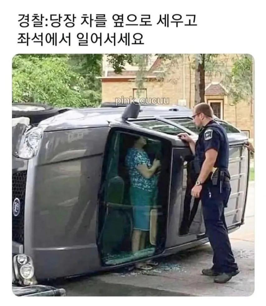 경찰관 말 잘 듣는 아주머니
