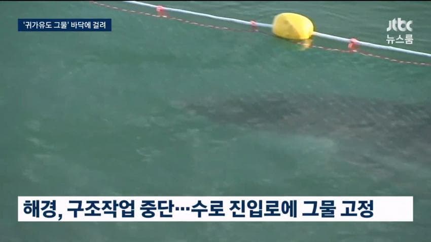 상어 부캉이 구조작업 또 실패…바다 앞서 멈췄다 (17)