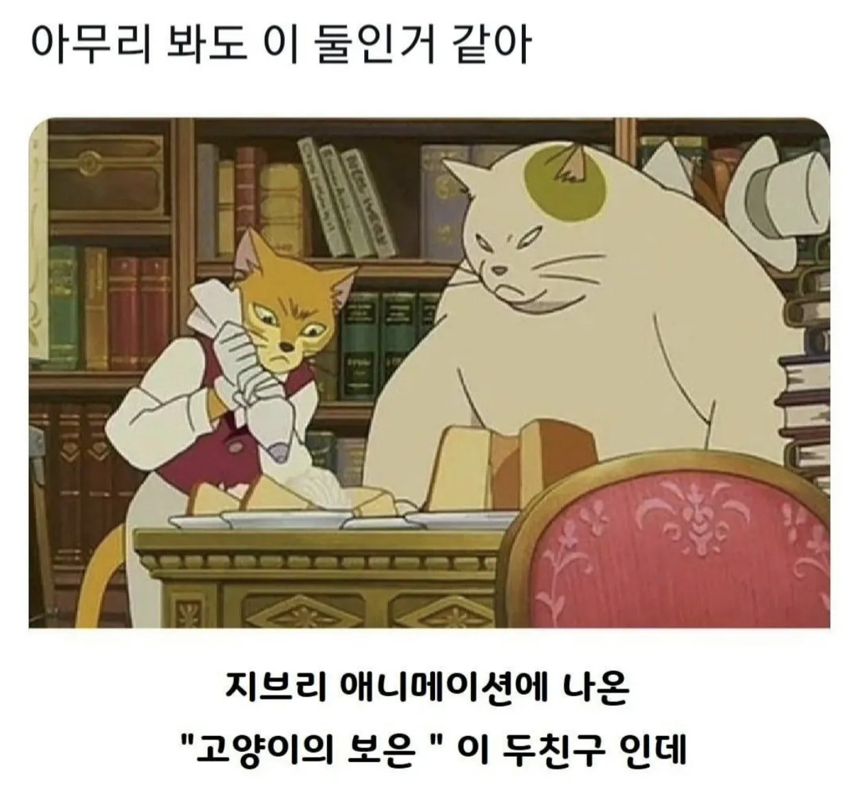 이거 아무리봐도 이 둘인것 같아