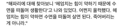 미용실 보냈는데 푸들이 실종되고 아기양으로 돌아왔습니다 (19)