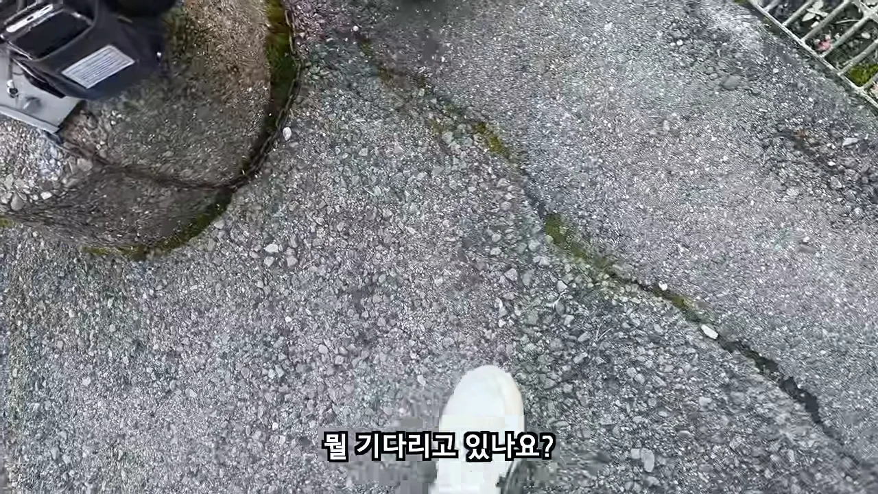 료칸에서 지갑을 주운 유튜버 (30)