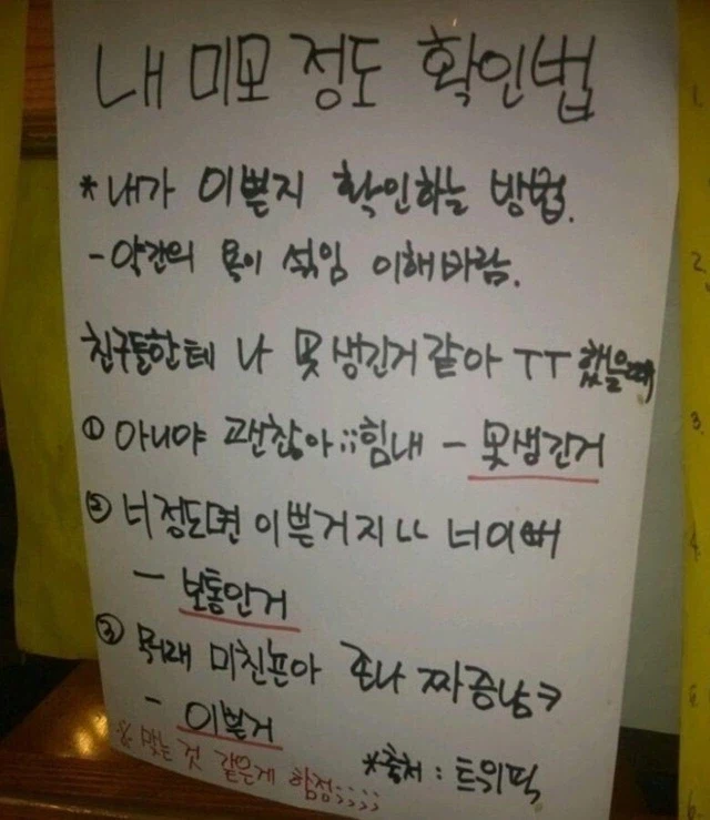 내 미모 정도 확인법