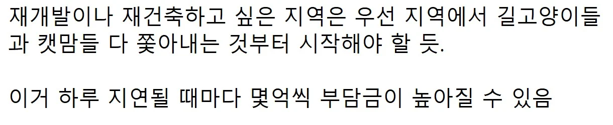재개발 지역 캣맘단체 근황 (2)