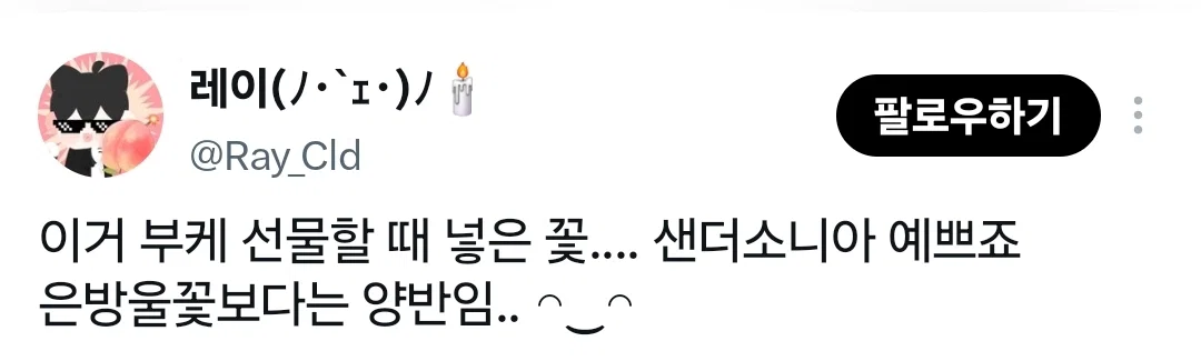 요즘 중국에서 생화계의 에르메스라 불린다는 꽃 (9)