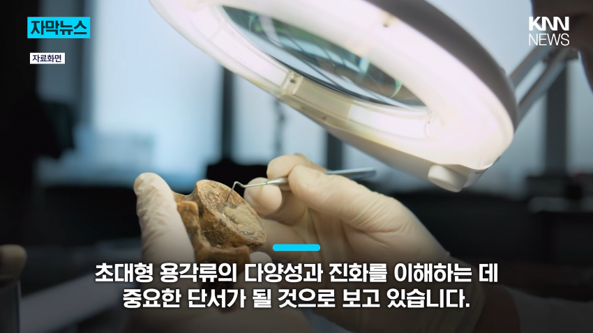 공사장에서 1억 년 전 초대형 공룡 발견 (15)