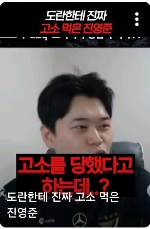 도란 진영준 고소 사유.. (2)