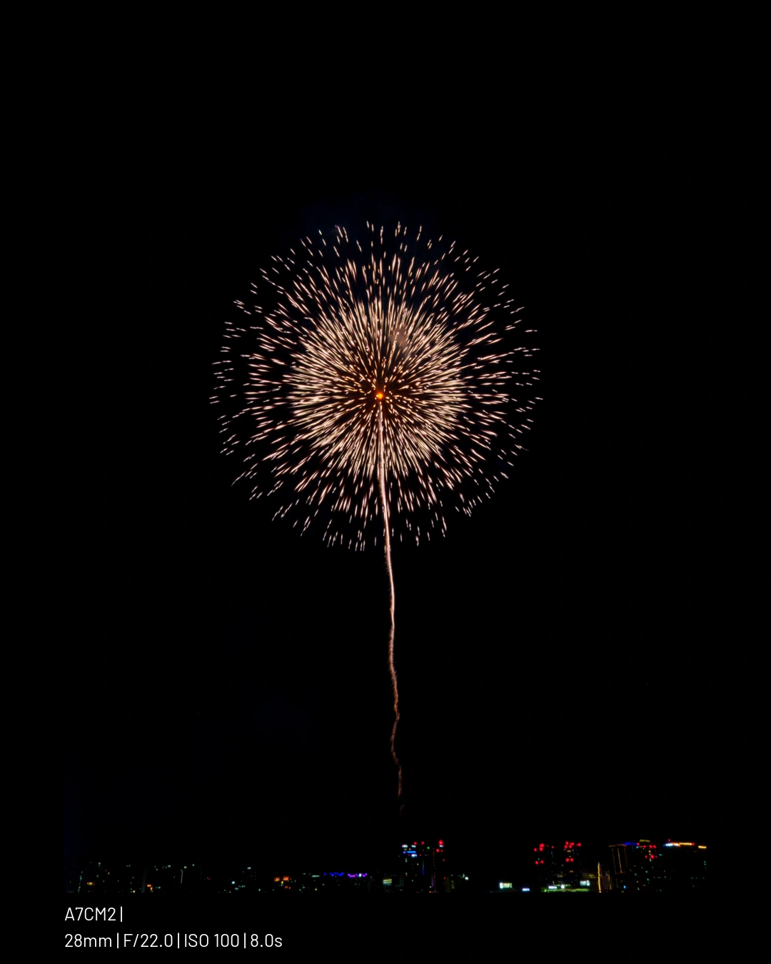 뒷북 불꽃축제 샤진.webp (50pic) (7)