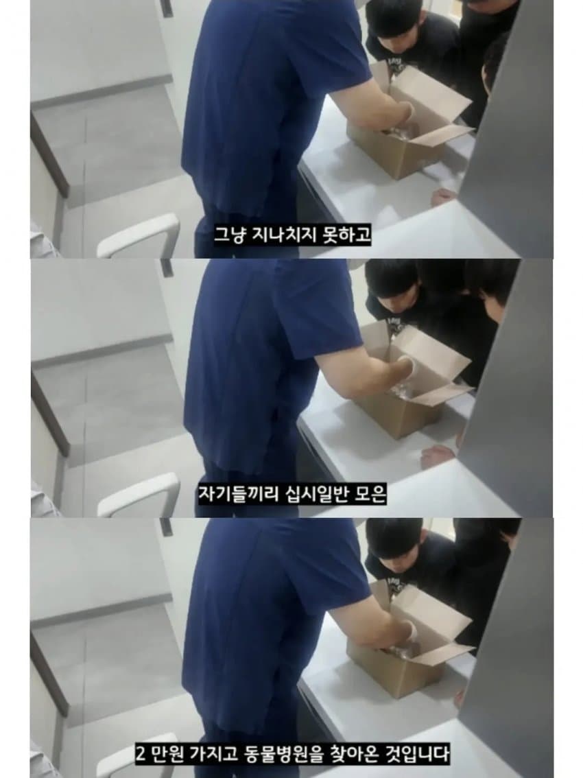 싱글벙글 2만원을 모아 동물병원 방문한 초등학생들 (10)