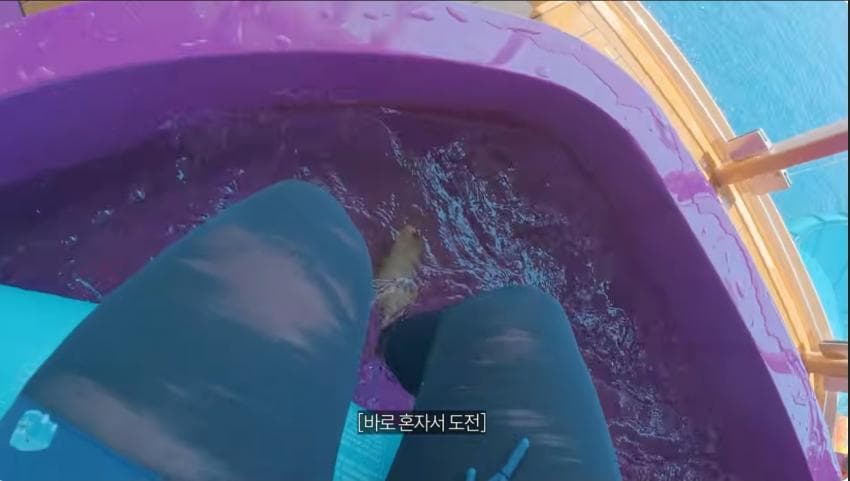 빠니보틀 빠른신혼여행. 세계 최대 크기 크루즈 타고 신혼여행 가기ㄷ (26)