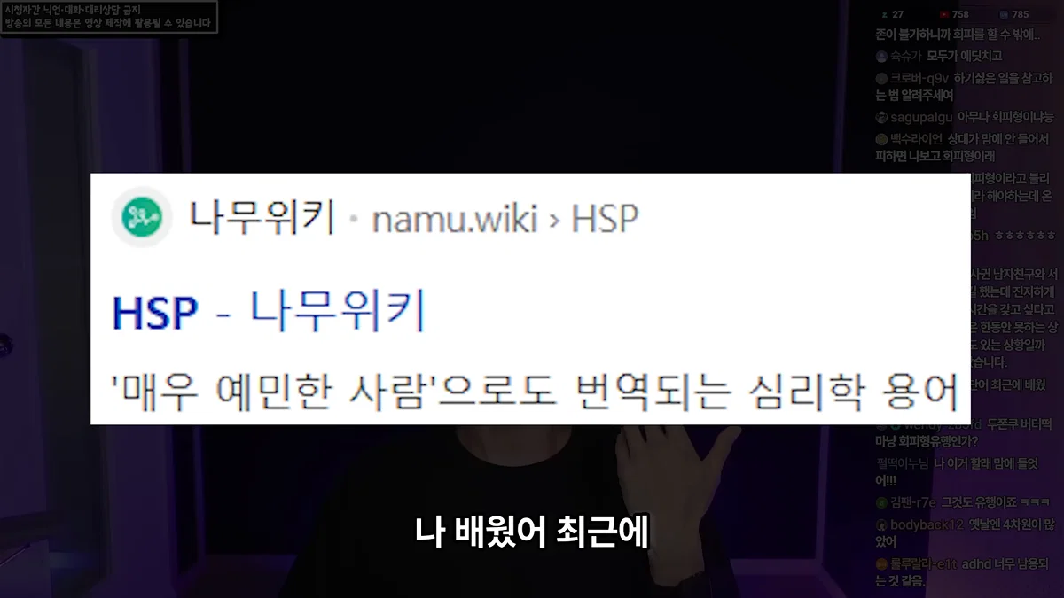 정신 질환을 추구미로 쓰고 안정형을 찾아 헤매는 사람들에게 (33)