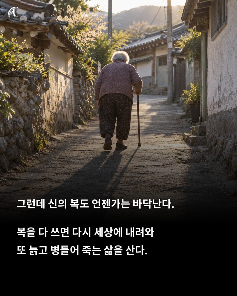 불교 경전 적힌 다음생에는 어떤짐승으로? (5)
