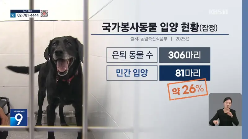국가 위해 헌신한 퇴역견…은퇴 후 관리는 ‘나몰라라’ (4)