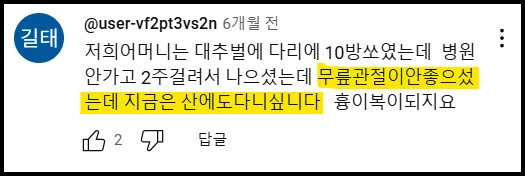 충격적인 말벌에 쏘인 후기