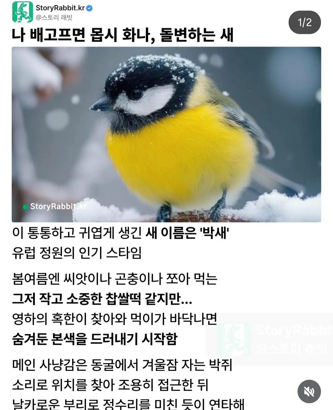 박새의 충격적인 반전 모습