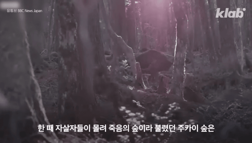 깜짝 .. 일본숲이 유독 무서운 이유 ㄹㅇ . (22)