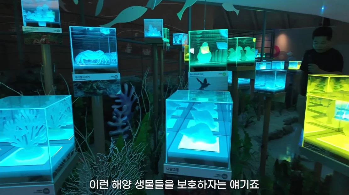 안 싱글벙글 여수국제 섬박람회 후기 (20)