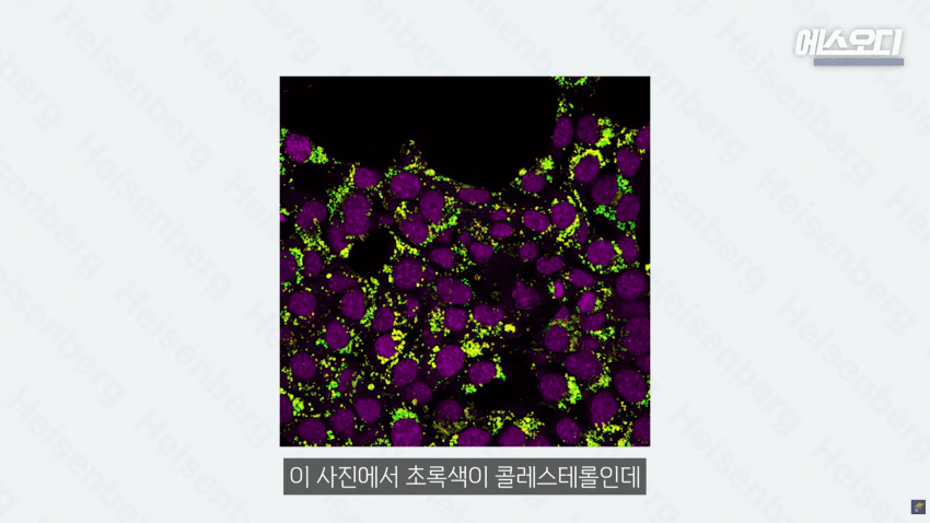 비아그라는 위대했다..역대급 암치료법 등장 (31)