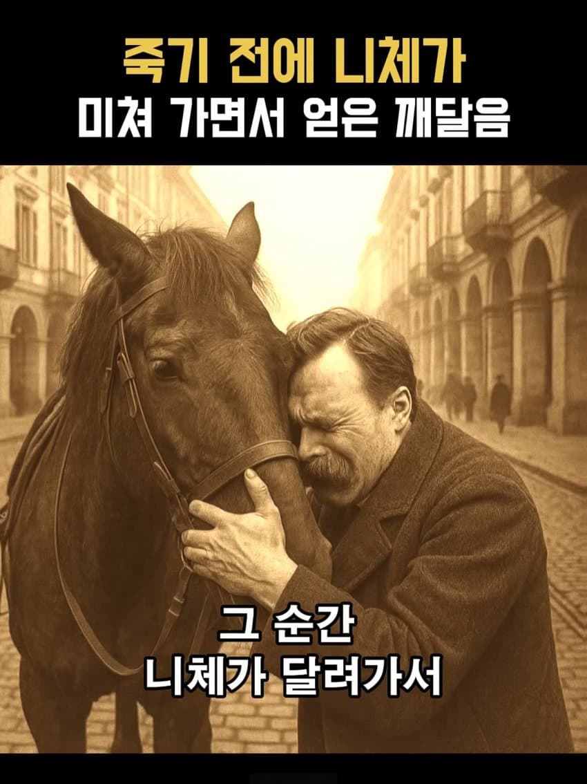 ㅂㅅㅂㅅ 니체가 죽기 직전에 미친 이유 (6)