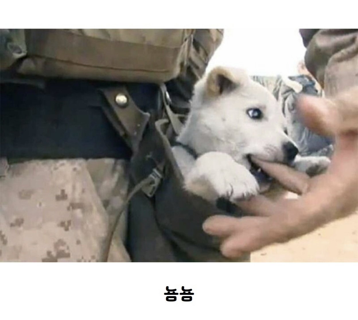 미군이 허리에 탄창주머니를 다는 이유 (3)