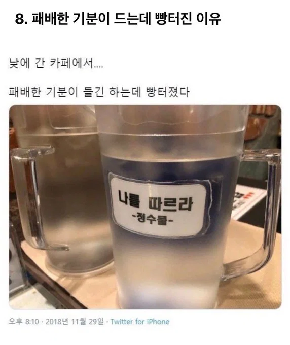 미용실 보냈는데 푸들이 실종되고 아기양으로 돌아왔습니다 (32)