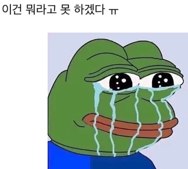 비행기 문 닫고 출발하려는데 내리겠다고 한 승객