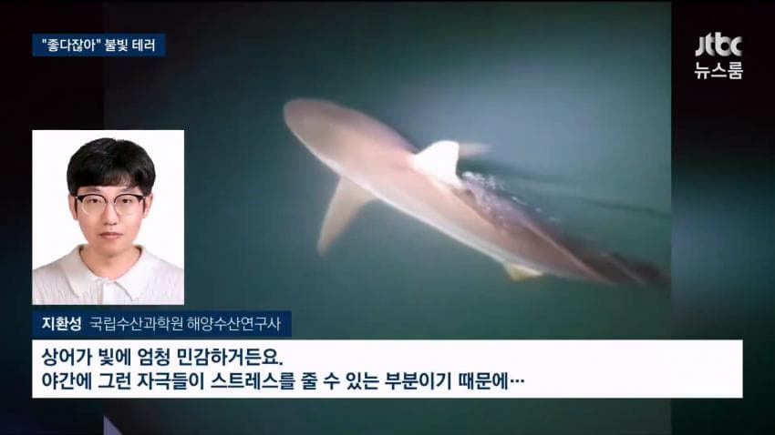 싱글벙글 부캉이 근황 (19)