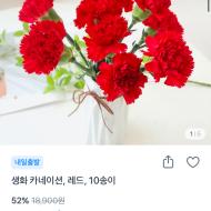생화 카네이션 10송이 8900원 (무배)