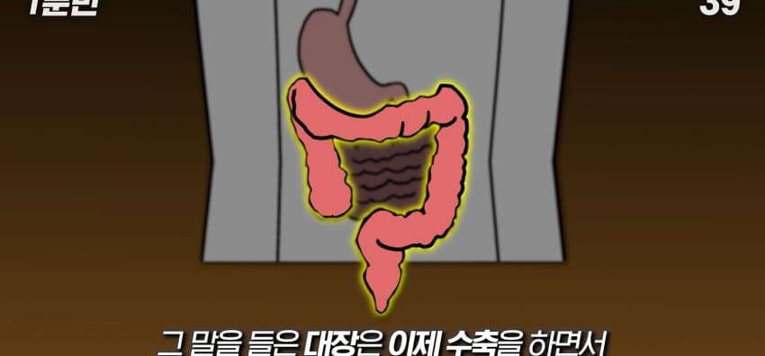 먹자마자 바로 화장실 가는 사람은 뭘까? (13)