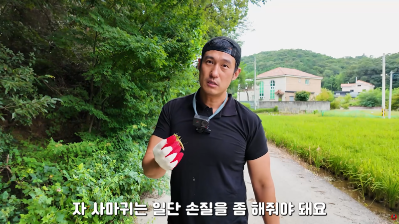 사마귀 먹는 방법 알려주는 유튜버