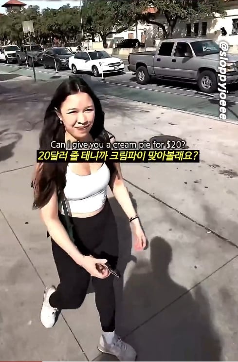 ㅇㅎ)20달러에 얼굴에 크림파이 가능한가요??? (16)